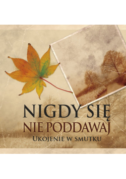 Cytaty z Pisma Św Nigdy się nie poddawaj