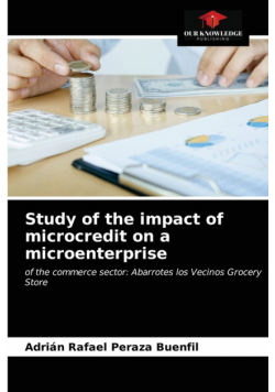 Study of the impact of microcredit on a microenterprise