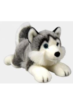 Husky 27cm