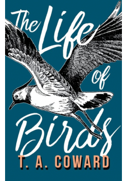 The Life of Birds