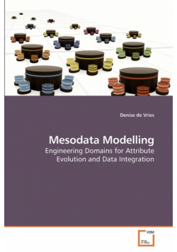Mesodata Modelling