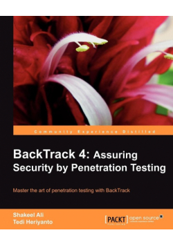 Backtrack 4