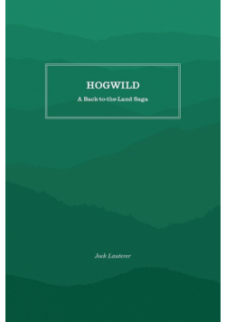 Hogwild