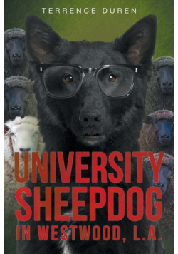 University Sheepdog in Westwood, L.A.