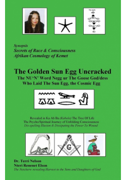 The Golden Sun Egg Uncracked  The NU'N' Word Negg ur