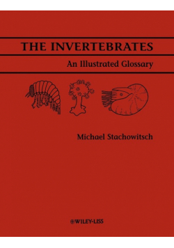The Invertebrates