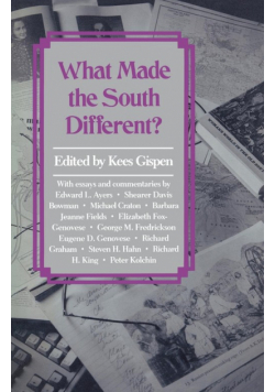 What Made the South Different?
