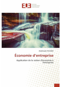 Économie d'entreprise