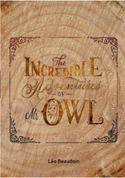 The Incredible Adventures of Mr Owl