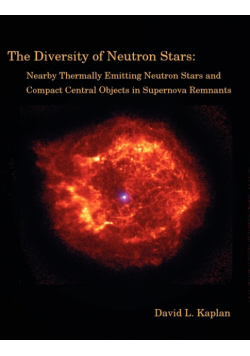 The Diversity of Neutron Stars