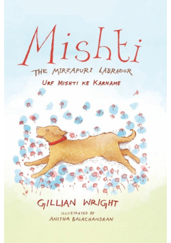 Mishti, the Mirzapuri Labrador