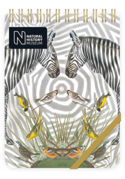 Kołonotes ozdobny Zebra