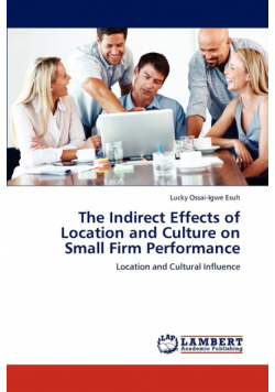 The Indirect Effects of Location and Culture on Small Firm Performance