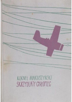 Skrzydlaty chłopiec