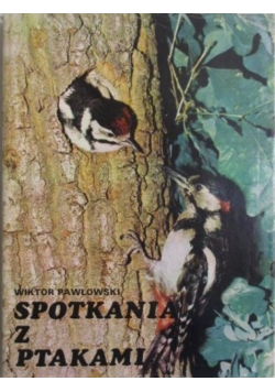 Spotkania z ptakami