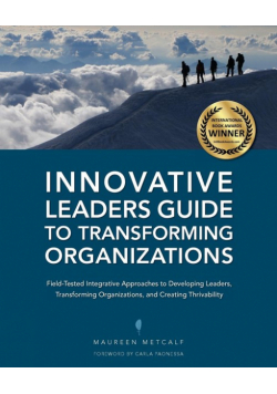 Innovative Leaders Guide to Transforming Organizations