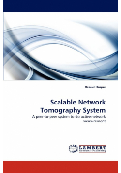 Scalable Network Tomography System