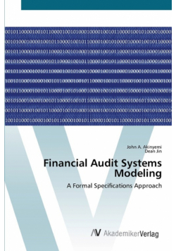 Financial Audit Systems Modeling