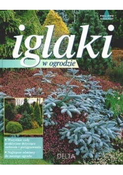 Iglaki w ogrodzie