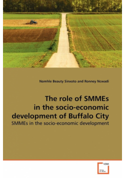 The role of SMMEs in the socio-economic development  of Buffalo City