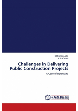 Challenges in Delivering Public Construction Projects