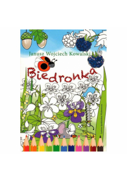 Biedronka