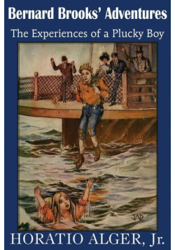 Bernard Brooks' Adventures, the Experience of a Plucky Boy