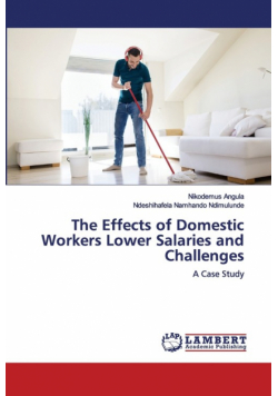 The Effects of Domestic Workers Lower Salaries and Challenges