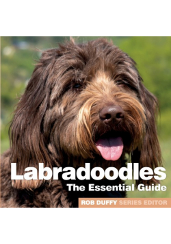 Labradoodles