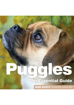 Puggles