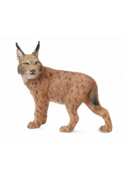 Ryś L
