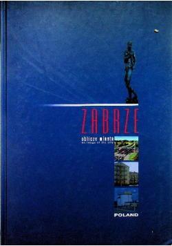 Zabrze oblicze miasta