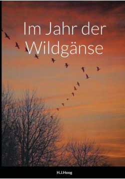 Im Jahr der Wildgänse