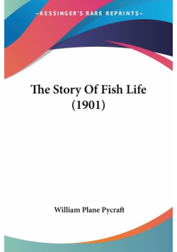 The Story Of Fish Life (1901)