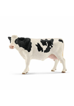 Krowa rasy Holstein