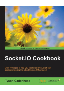 Socket.IO Cookbook