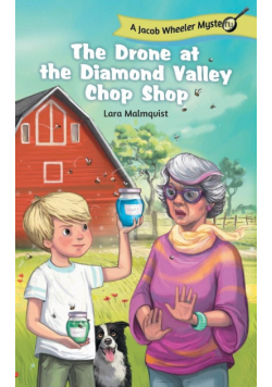 The Drone at the Diamond Valley Chop Shop