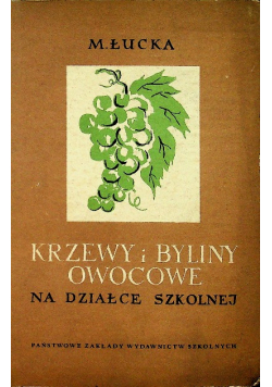 Krzewy i byliny owocowe na działce szkolnej