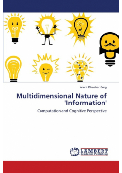 Multidimensional Nature of 'Information'
