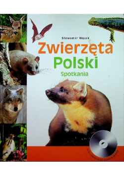 Zwierzęta Polski Spotkania