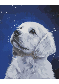 Malowanie po numerach - Labrador 40x50cm