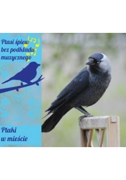 Ptaki w mieście digipack CD