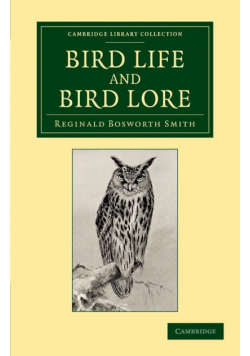 Bird Life and Bird Lore