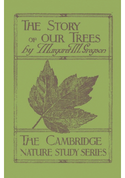 The Story of Our Trees