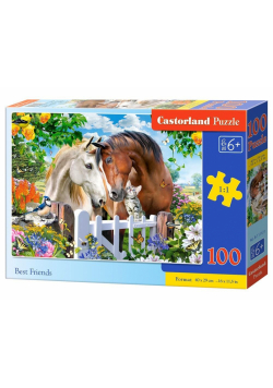 Puzzle 100 Best Friends CASTOR