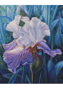 Diamentowa mozaika - Irys wiosenny 40x50cm