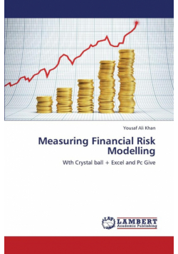 Measuring Financial Risk Modelling