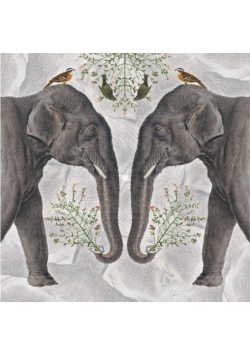 Karnet kwadrat z kopertą Indian Elephant