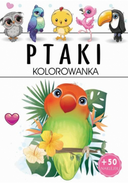 Ptaki Kolorowanka