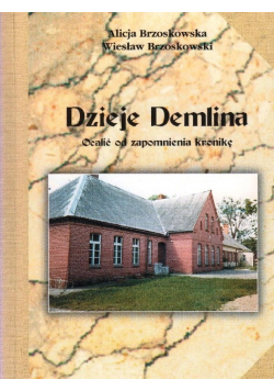 Dzieje Demlina